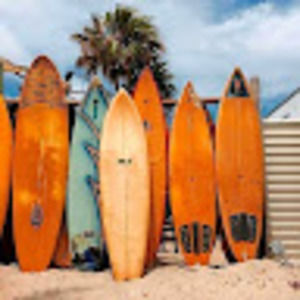 Meet your Posher, Summer